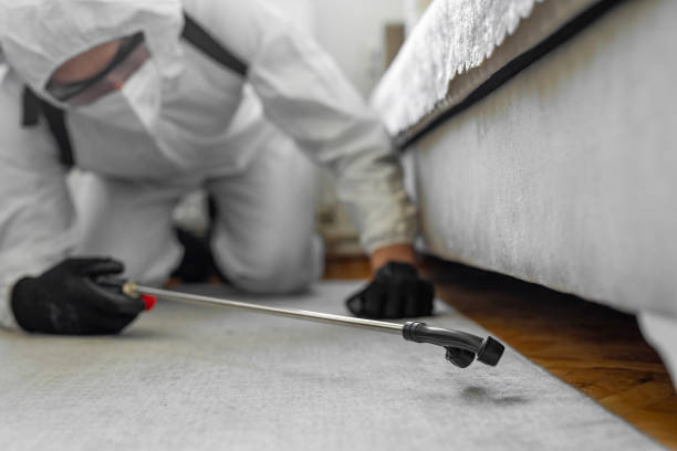 Professional Termite Control technician working in Oil City, PA