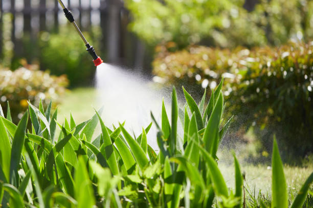 24/7 Emergency Termite Control experts in Oil City, PA