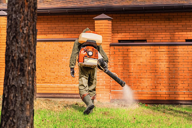 Trusted Mosquito Control service in Oil City, PA - Nex Pest Control